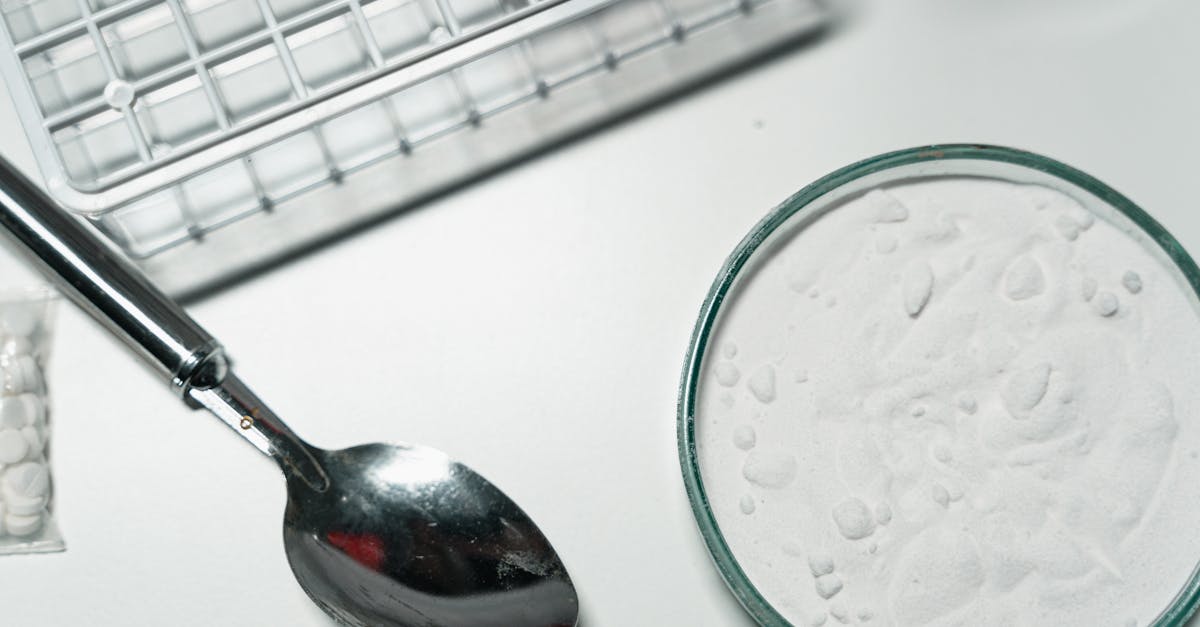 Osakkeet - Tutustu Ostoennusteeseen: Absci Corporation Uudistaa Lääkekehitystä Tekoälyn Voimin