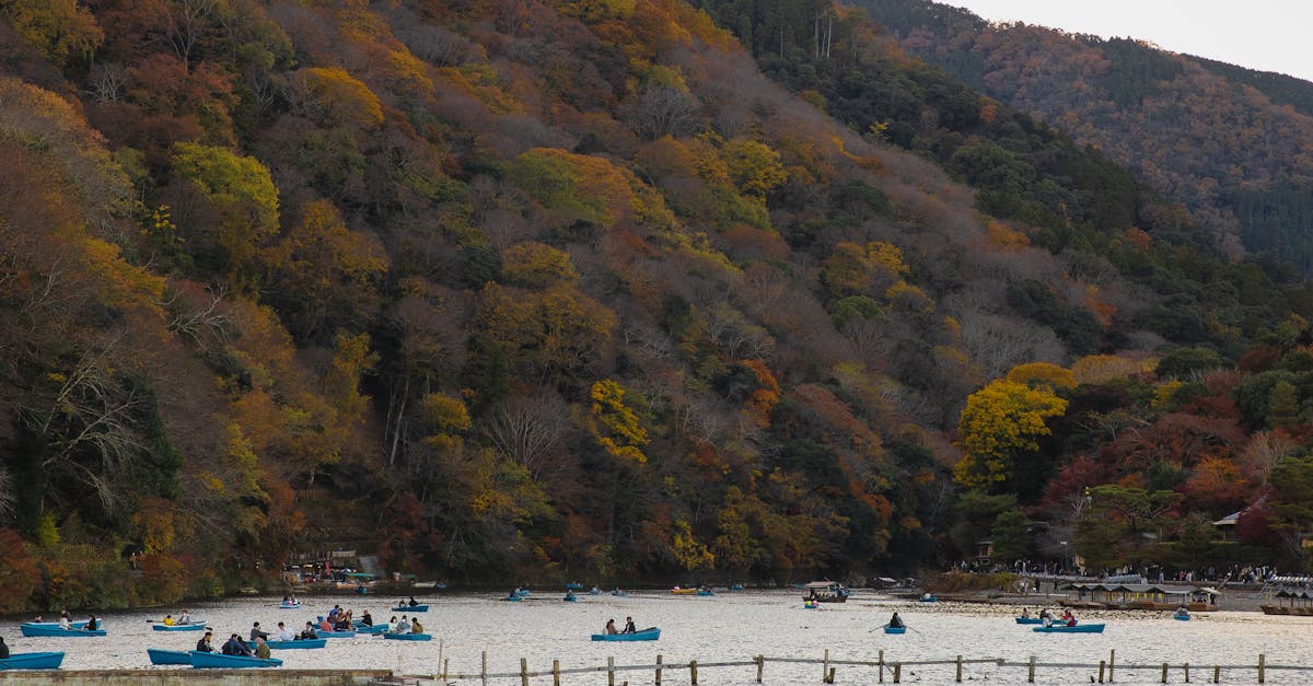 Yrittäjyys - Aloita Pesula Bisnes Menestyksekkäästi: Asiantuntijan Parhaat Vinkit
