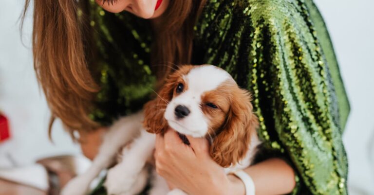 Sijoittaminen - Charles Schwab Corporation: Sijoittamisen tulevaisuus ja innovaatiot käsissäsi