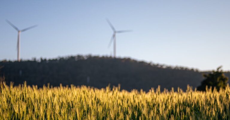 Energia-ala - Energian tulot: Talouden kasvun moottori ja tulevaisuuden mahdollisuudet