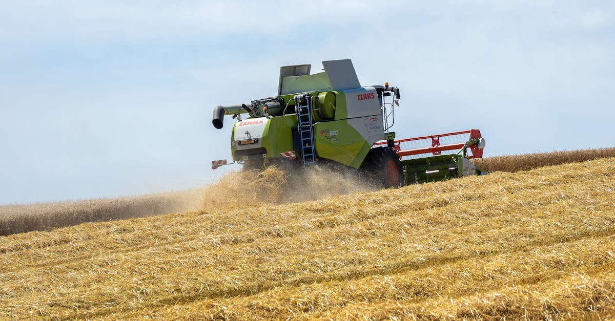 Kaupankäynti - Hyödykkeiden ylitarjonnan vaikutukset: Mitä se tarkoittaa maailmantaloudelle ja kuinka varautua?