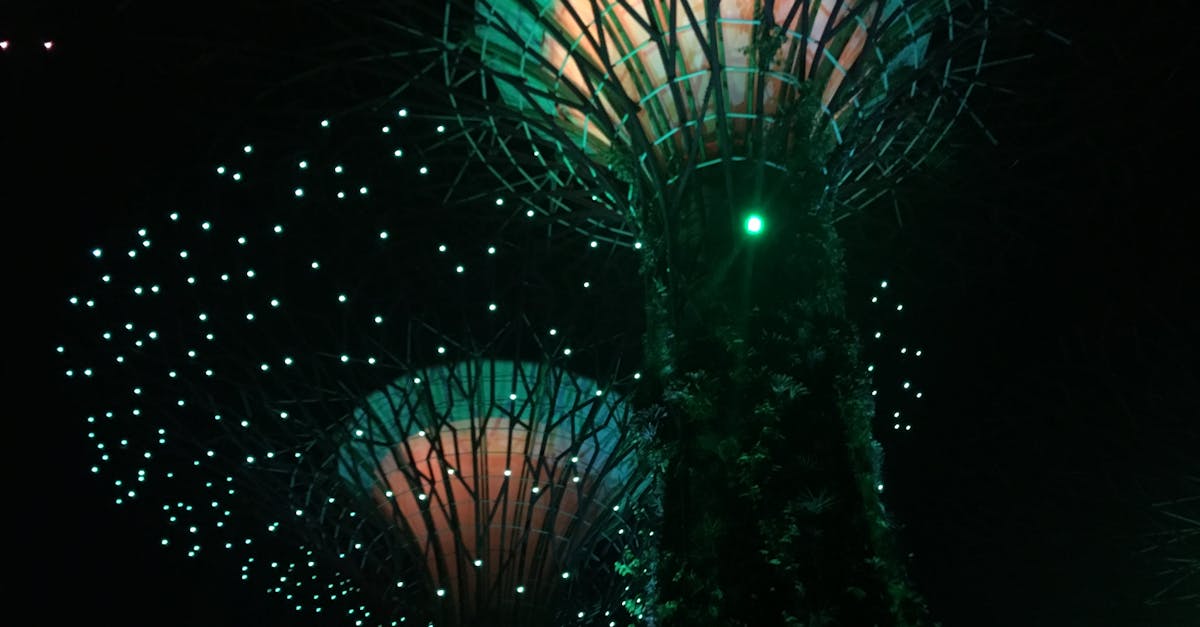 Maanviljely - Maataloussijoittaminen: Avainasema Maailmantaloudessa ja Teknologian Rintamalla