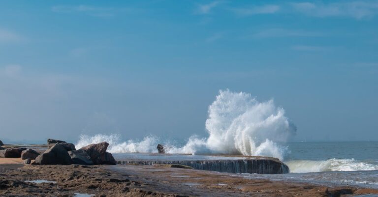 Talousennusteet - Ross Storesin tulokset paljastettu: Mitä ne kertovat sijoittajille?