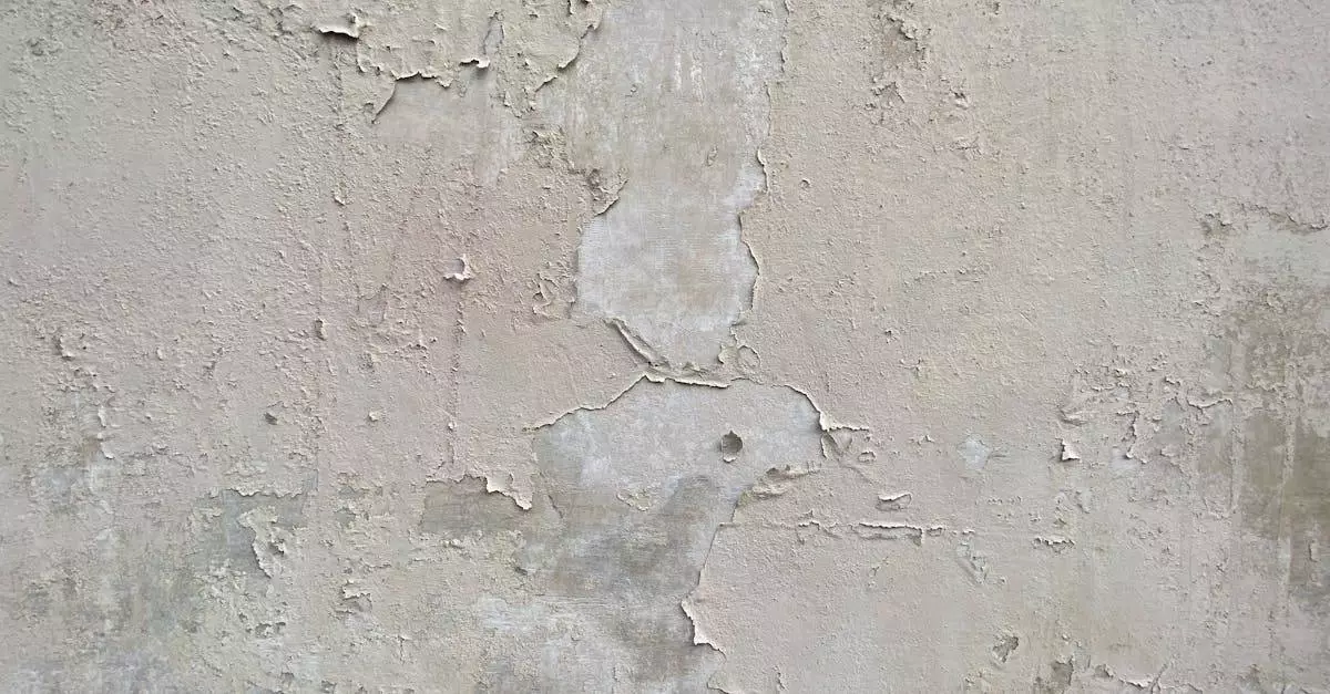 Energia - Härkäteoria Paljastaa: Näin Sijoittajat Voivat Voittaa Markkinoiden Aallokossa