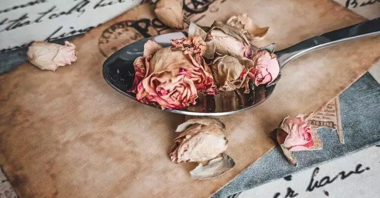 Sijoittaminen - Sijoittajan valinnat: Näin luot voittavan sijoitusstrategian